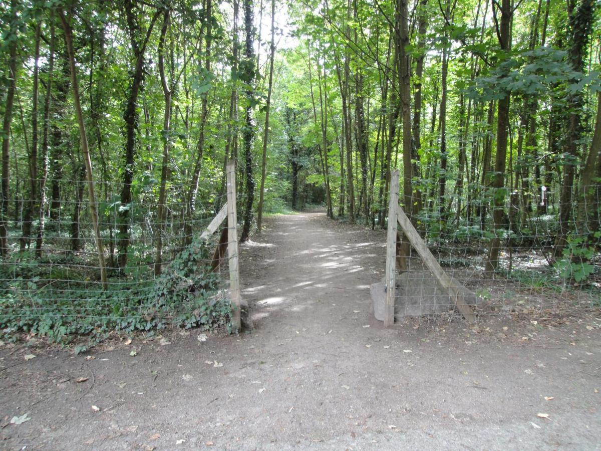 Appartement Kosly Garden Robertsau
