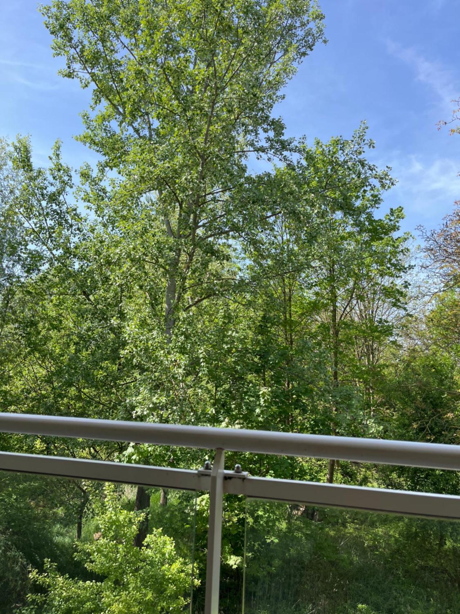 Appartement Kosly Garden Robertsau